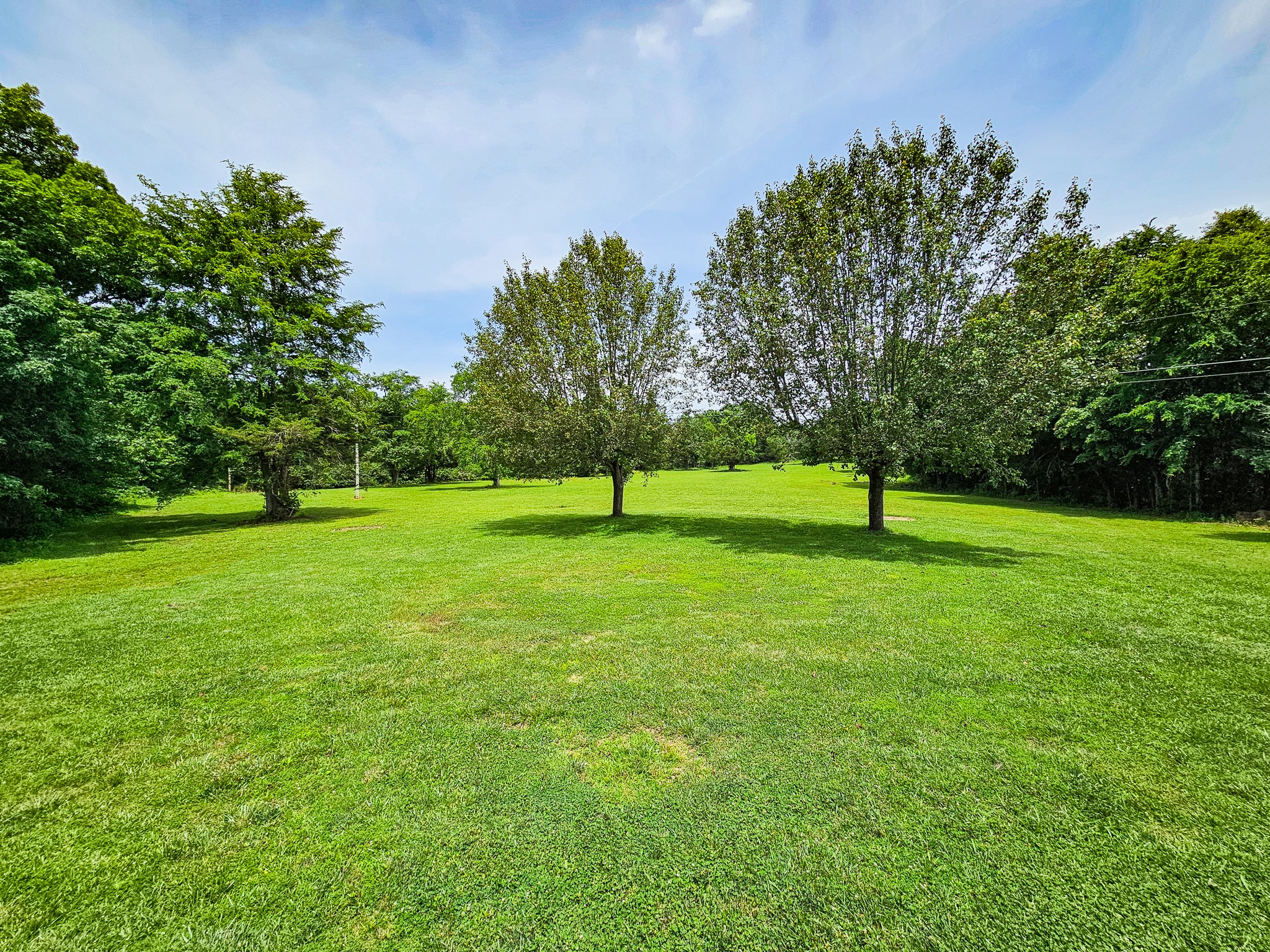 810 Rabbit Branch Road Shelbyville, TN 37160 - Photo 40 of 43 a view of a trees with a park