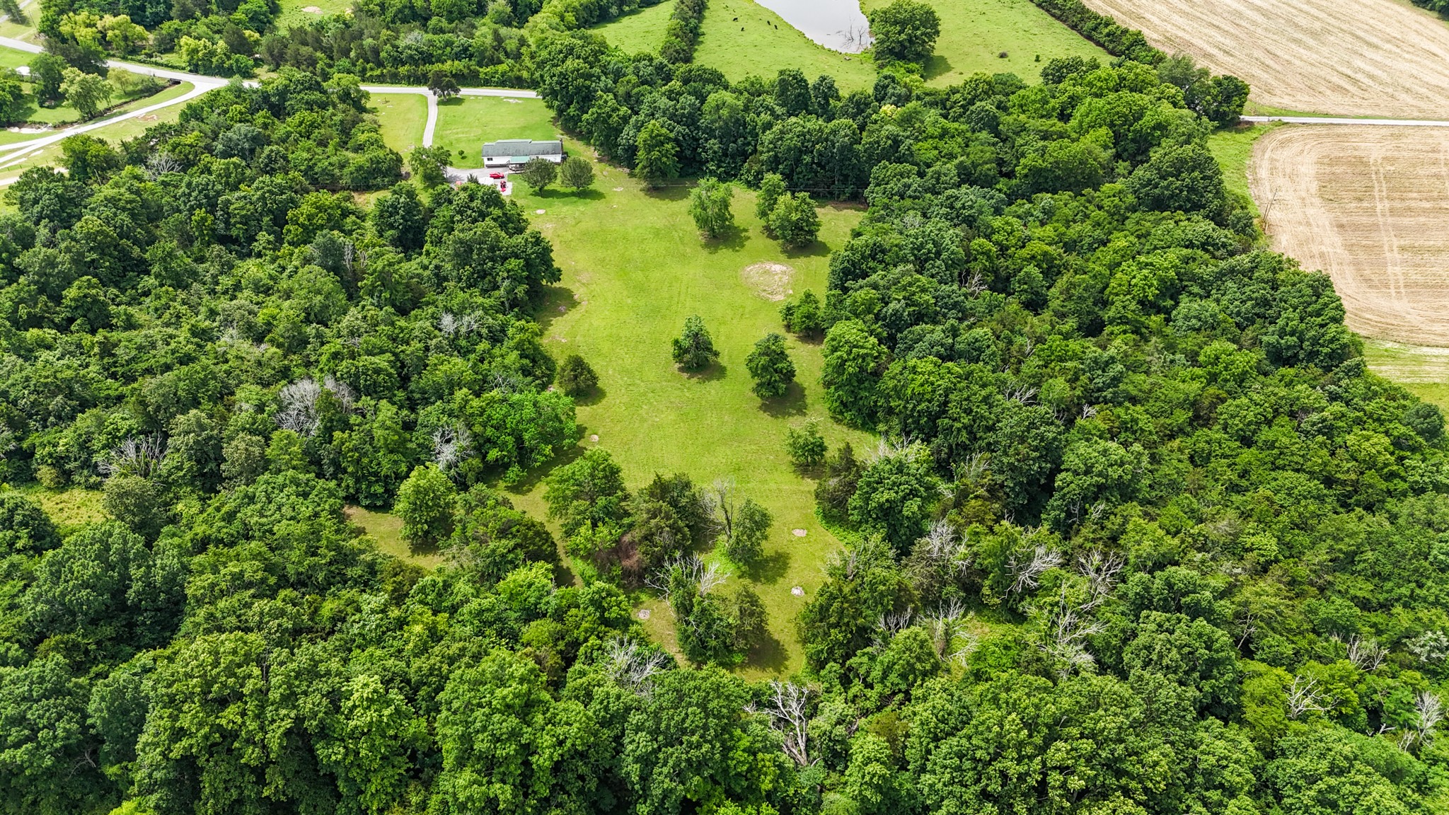 810 Rabbit Branch Road Shelbyville, TN 37160 - Photo 43 of 43 a view of a garden