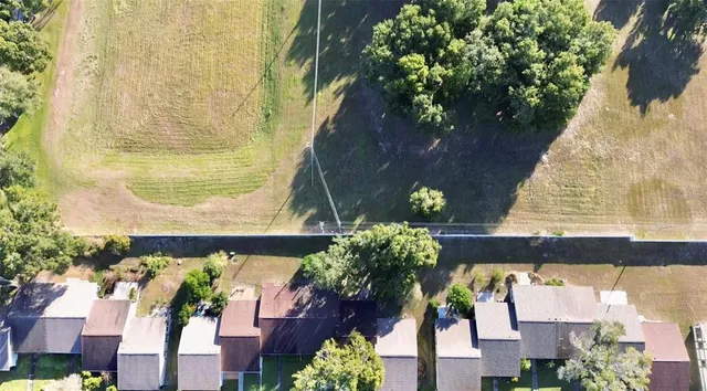a picture of a tree with a bench
