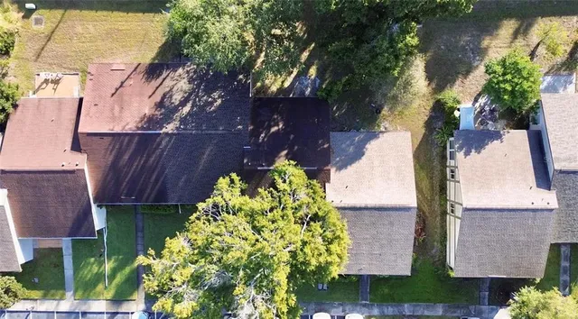 a plant that is sitting in front of a house