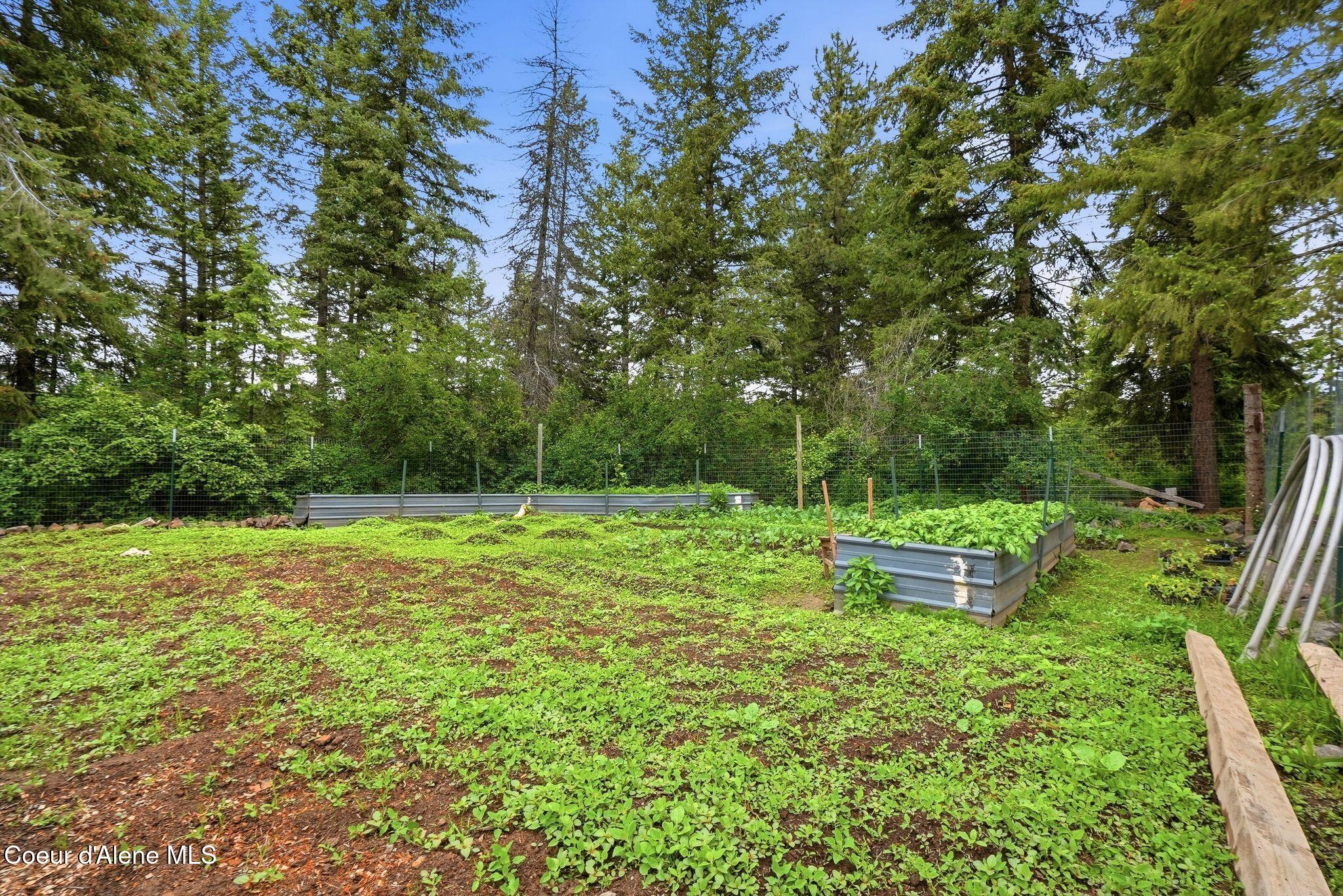 890 Pokey Creek Road Fernwood, ID 83830 - Photo 27 of 45 Garden Area