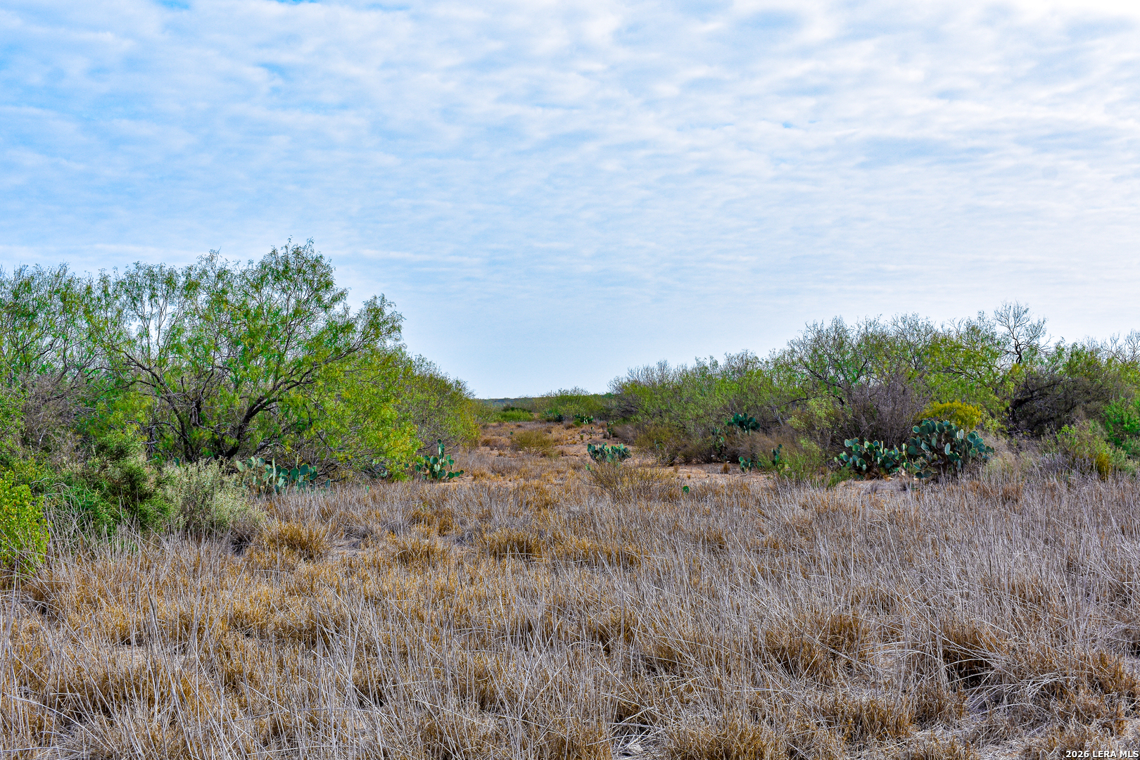 0 Easement Road Laredo, TX 78045 - Photo 16 of 44