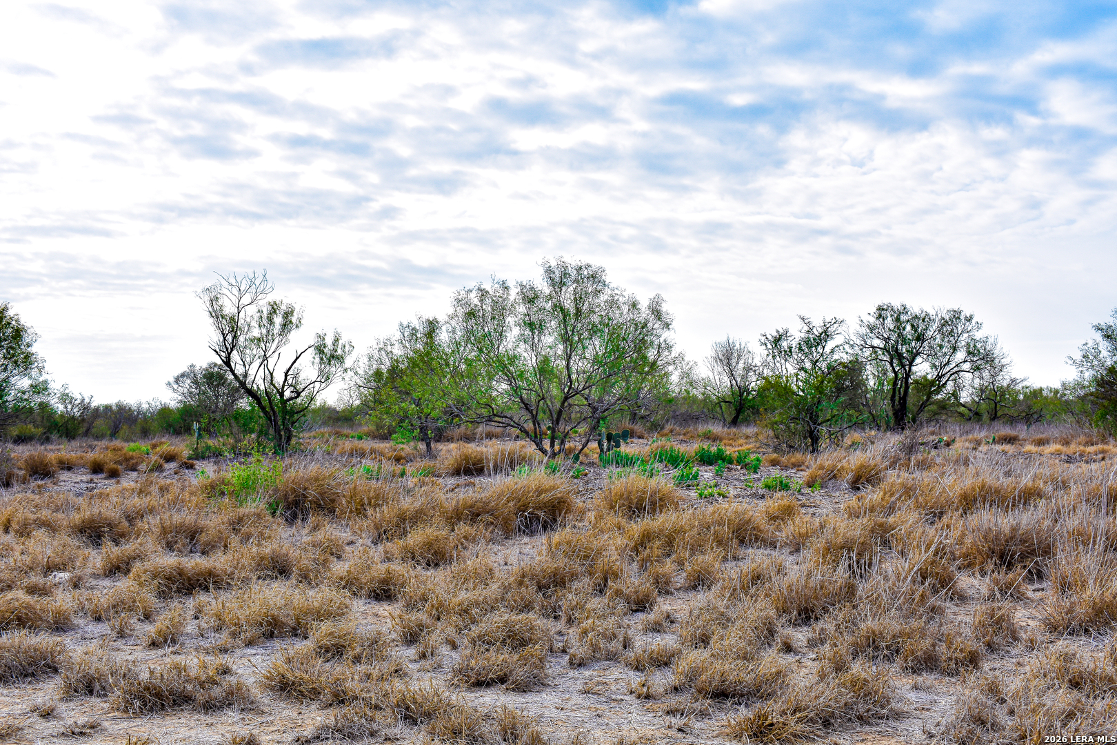0 Easement Road Laredo, TX 78045 - Photo 17 of 44