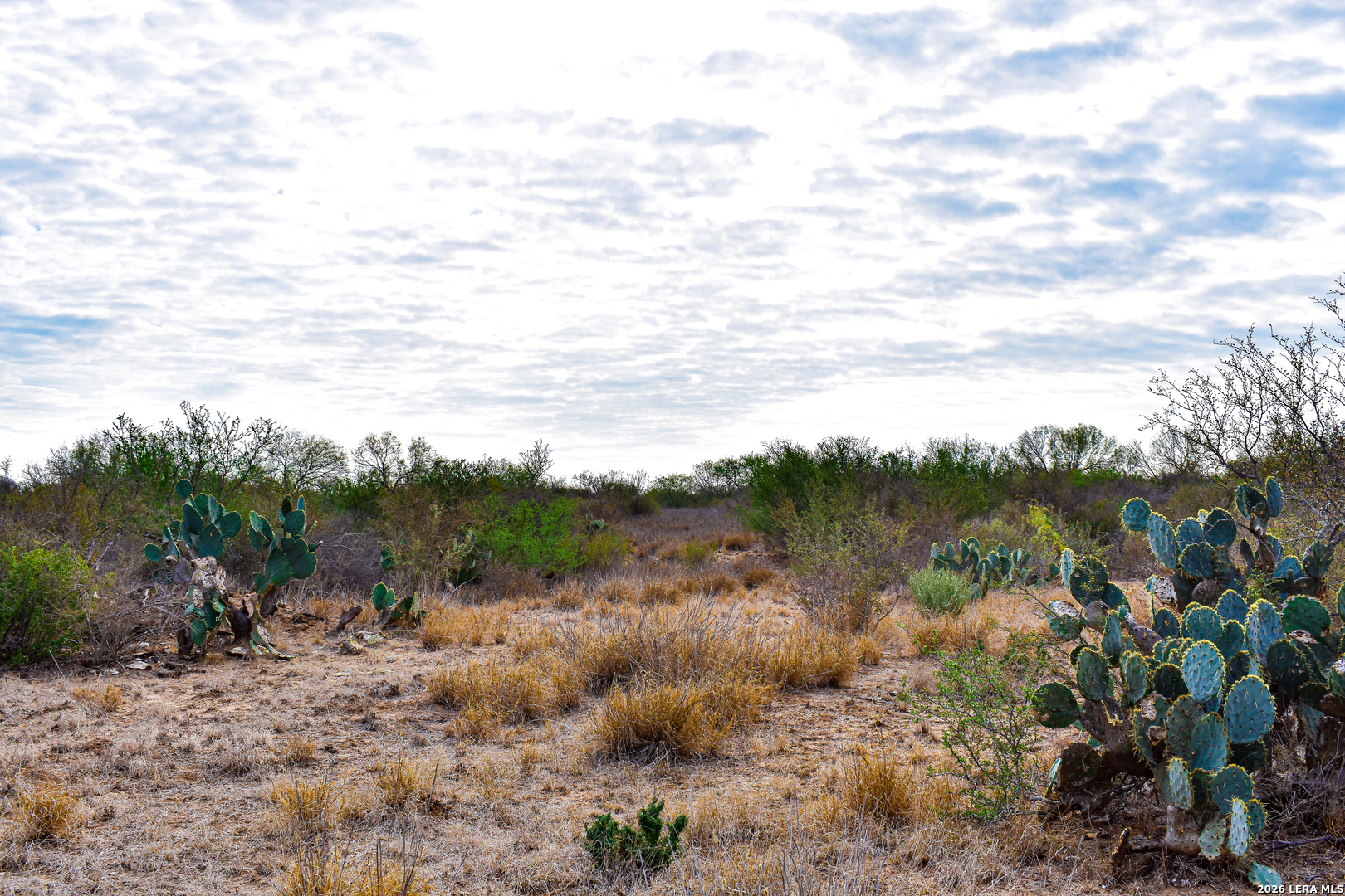 0 Easement Road Laredo, TX 78045 - Photo 20 of 44