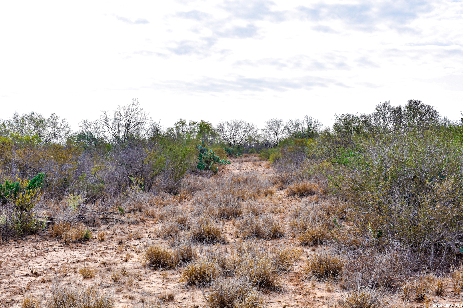 0 Easement Road Laredo, TX 78045 - Photo 21 of 44