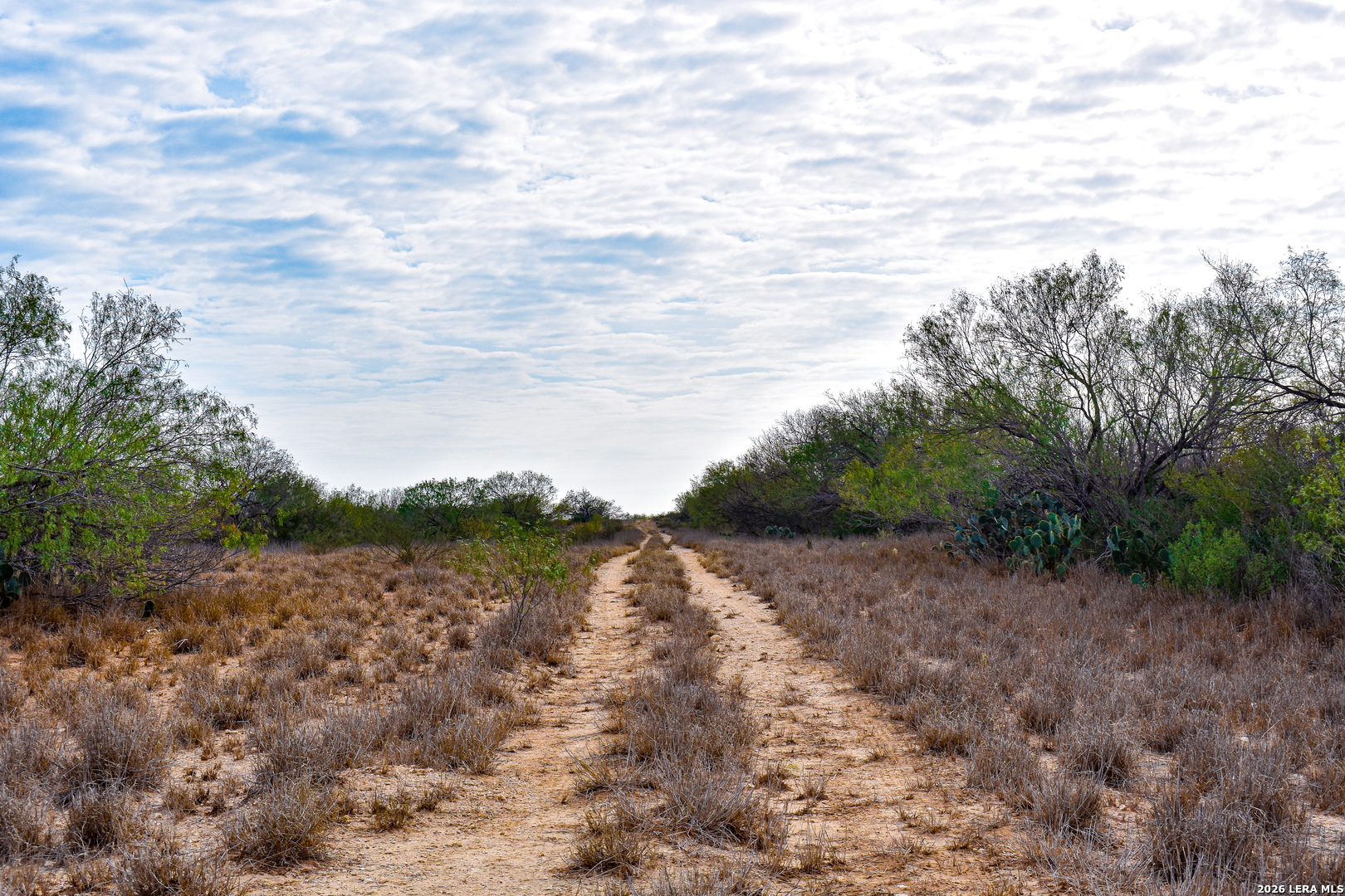 0 Easement Road Laredo, TX 78045 - Photo 22 of 44