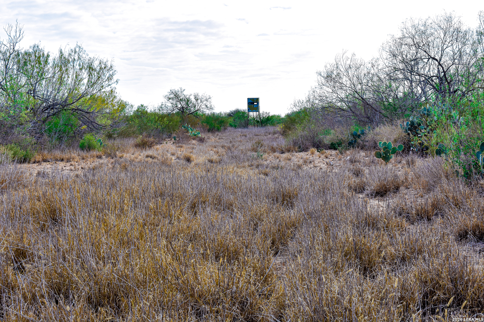 0 Easement Road Laredo, TX 78045 - Photo 23 of 44