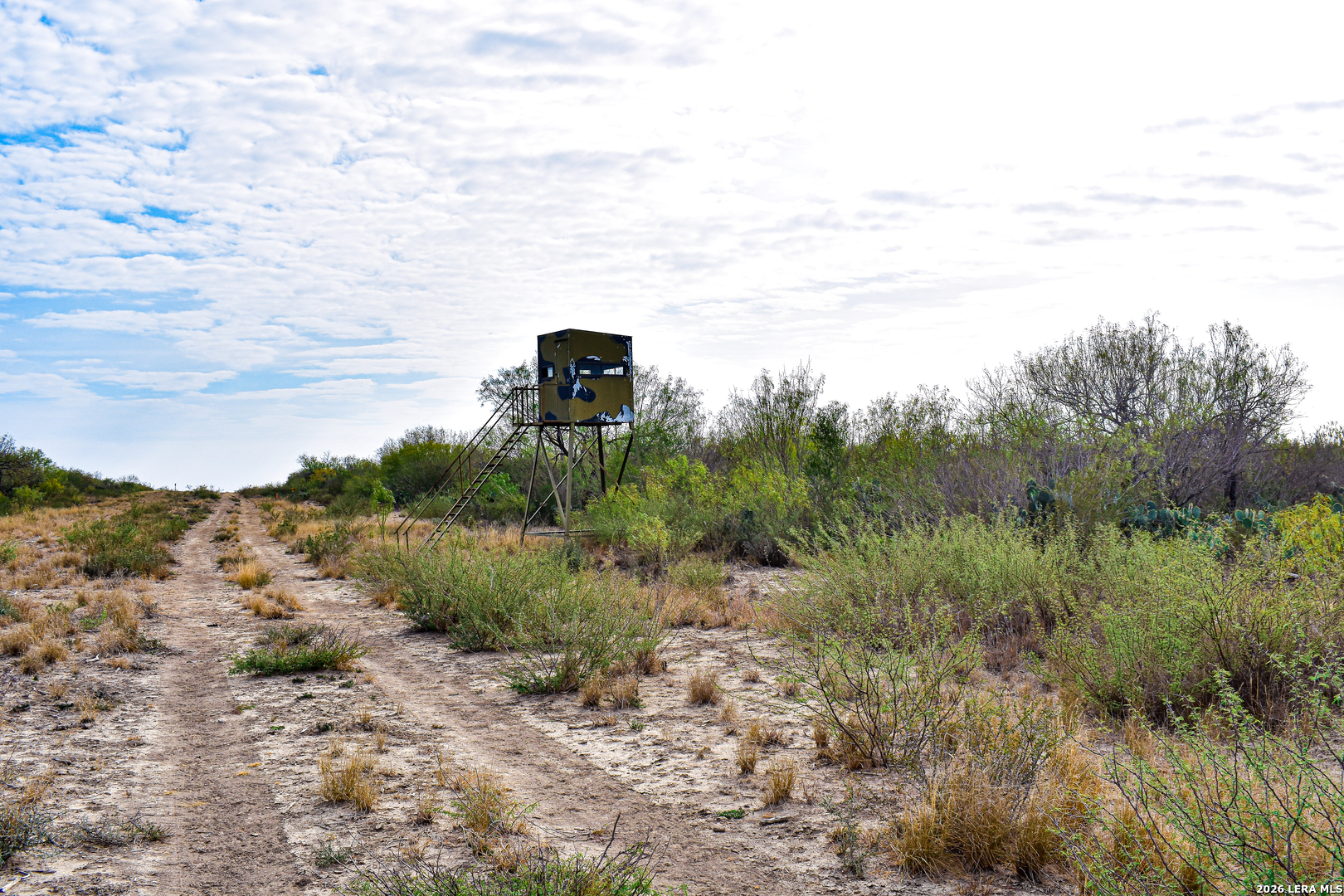 0 Easement Road Laredo, TX 78045 - Photo 31 of 44