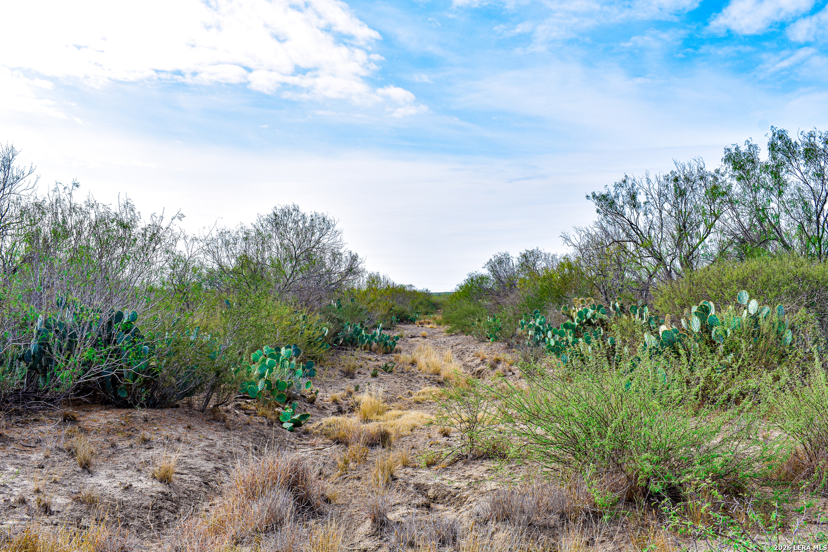 0 Easement Road Laredo, TX 78045 - Photo 32 of 44