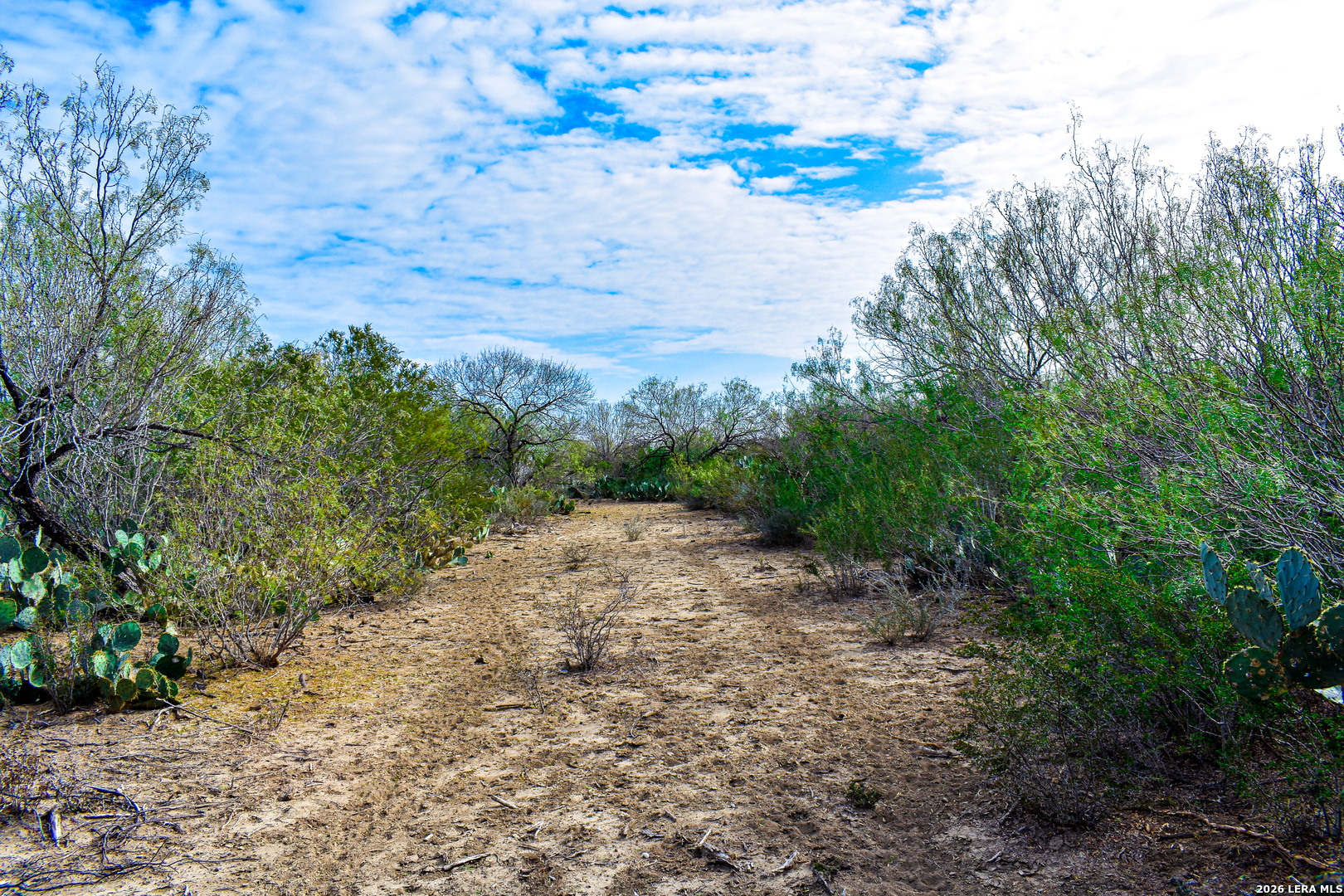 0 Easement Road Laredo, TX 78045 - Photo 36 of 44