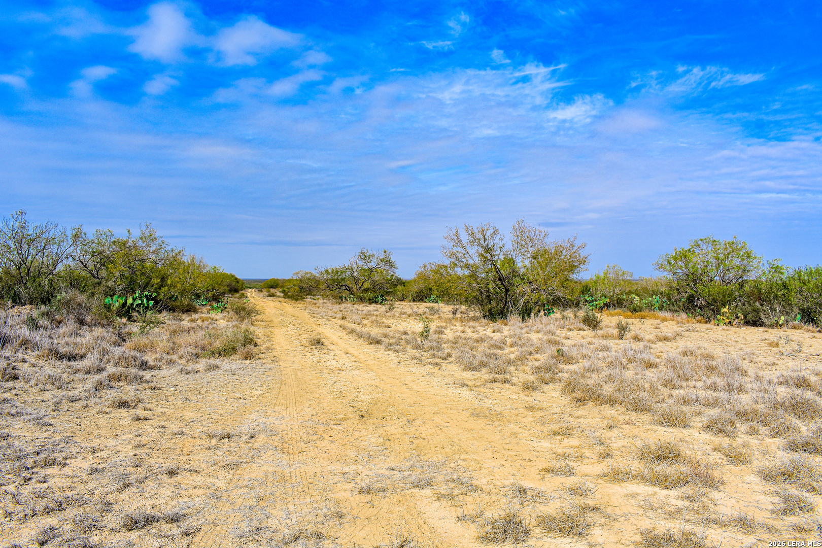 0 Easement Road Laredo, TX 78045 - Photo 40 of 44