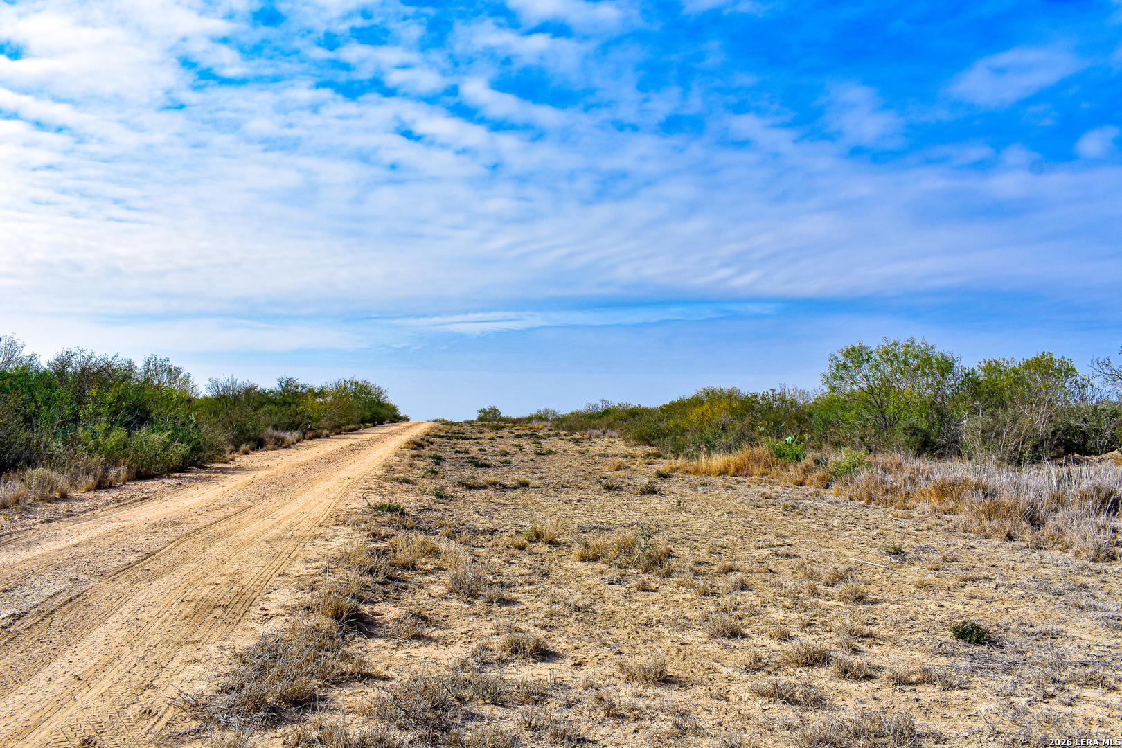0 Easement Road Laredo, TX 78045 - Photo 42 of 44