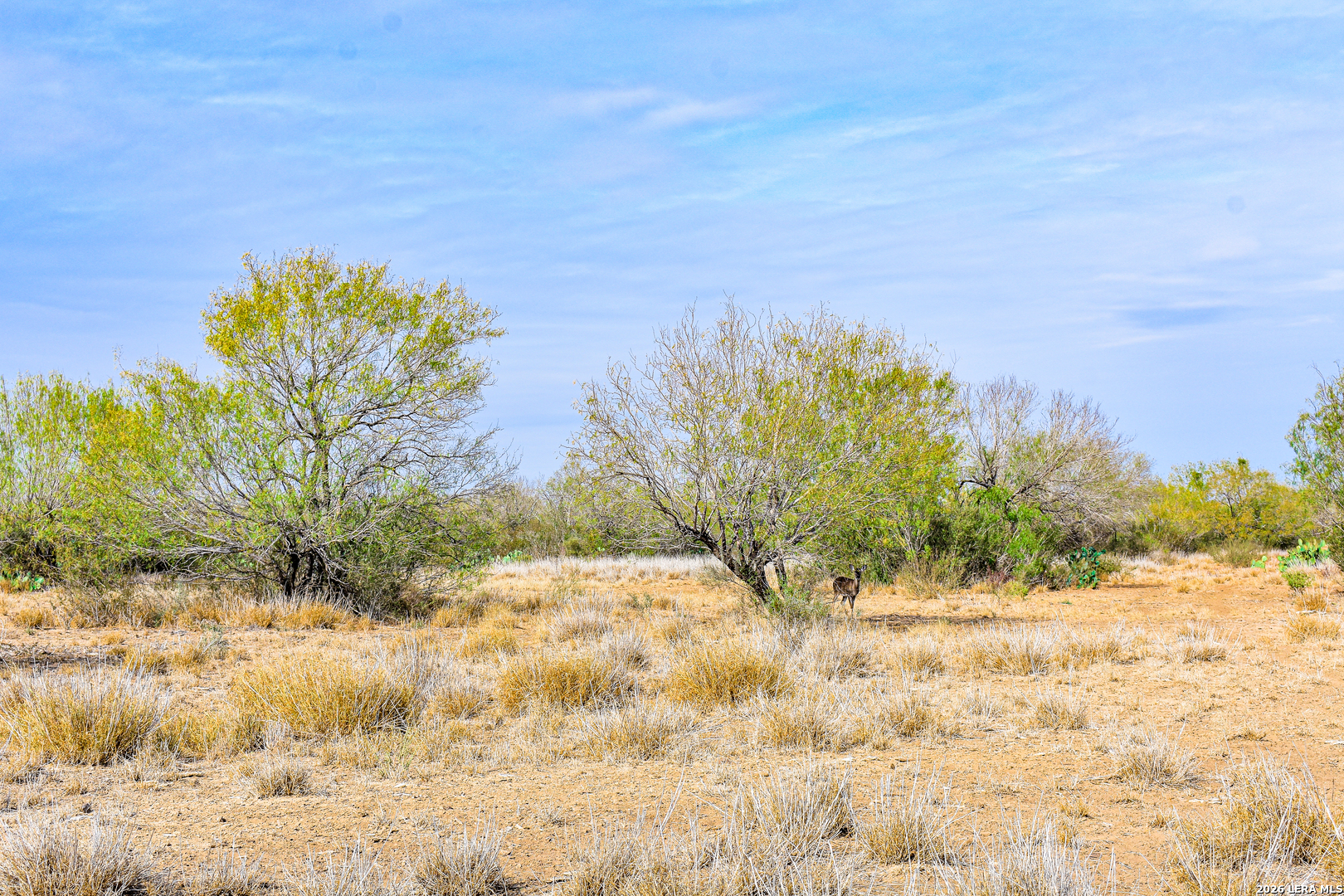 0 Easement Road Laredo, TX 78045 - Photo 43 of 44