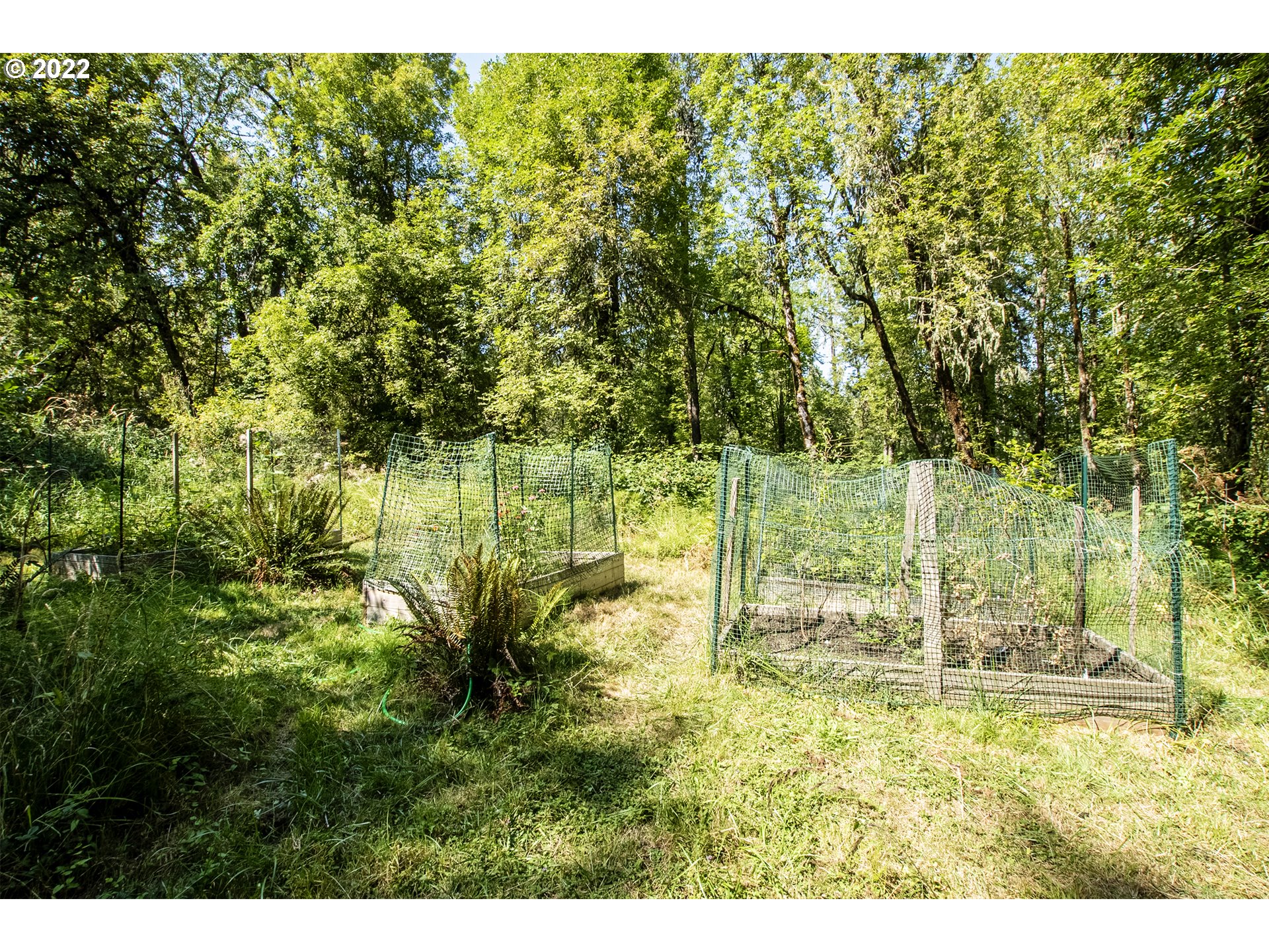 31910 Owl Road Eugene, OR 97405 - Photo 30 of 32