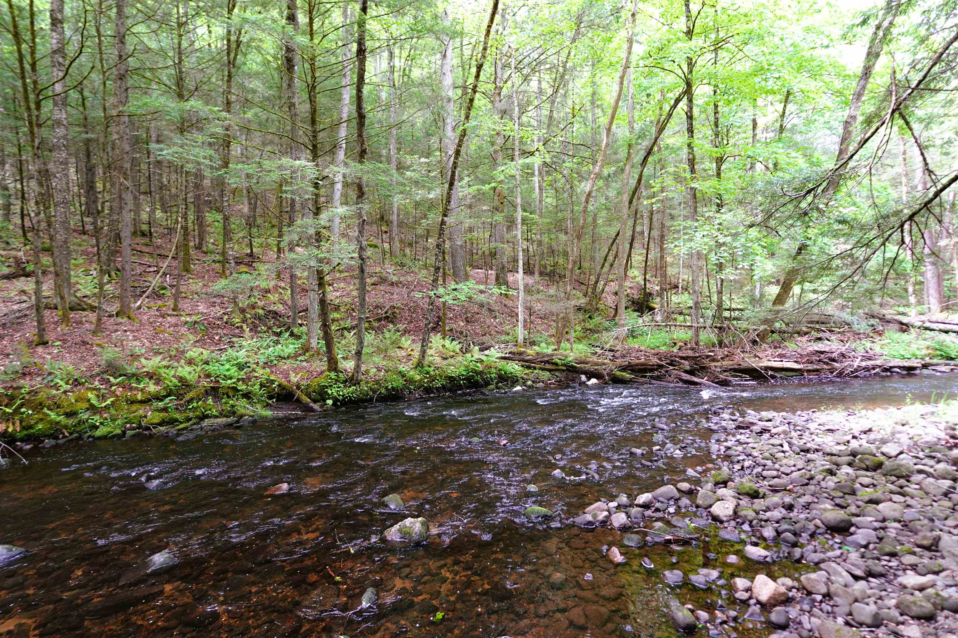 525 Richmond Road Winchester, NH 03470 - Photo 13 of 29