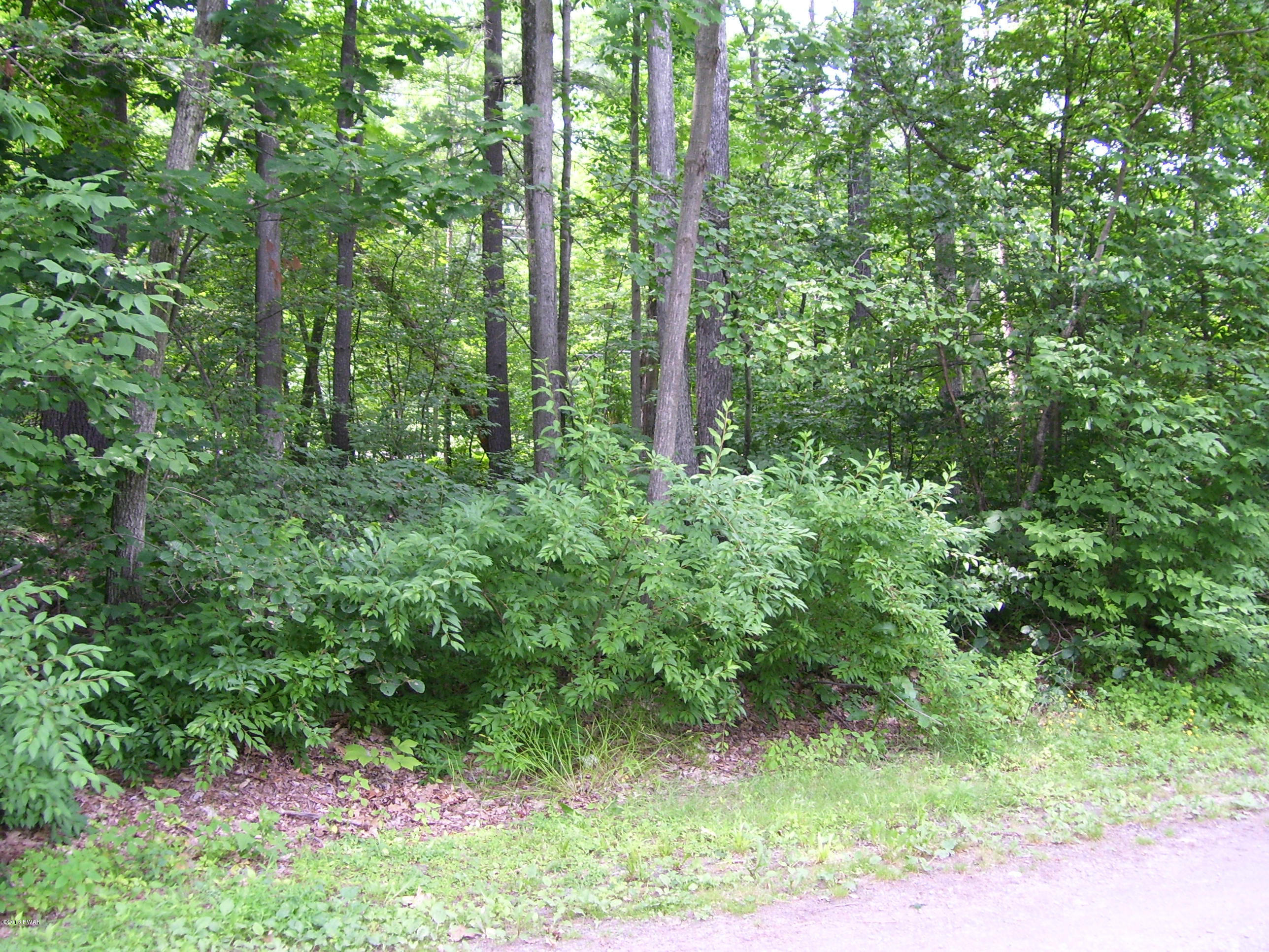 24 Pine Beach Road Lakeville, PA 18438 - Photo 64 of 74