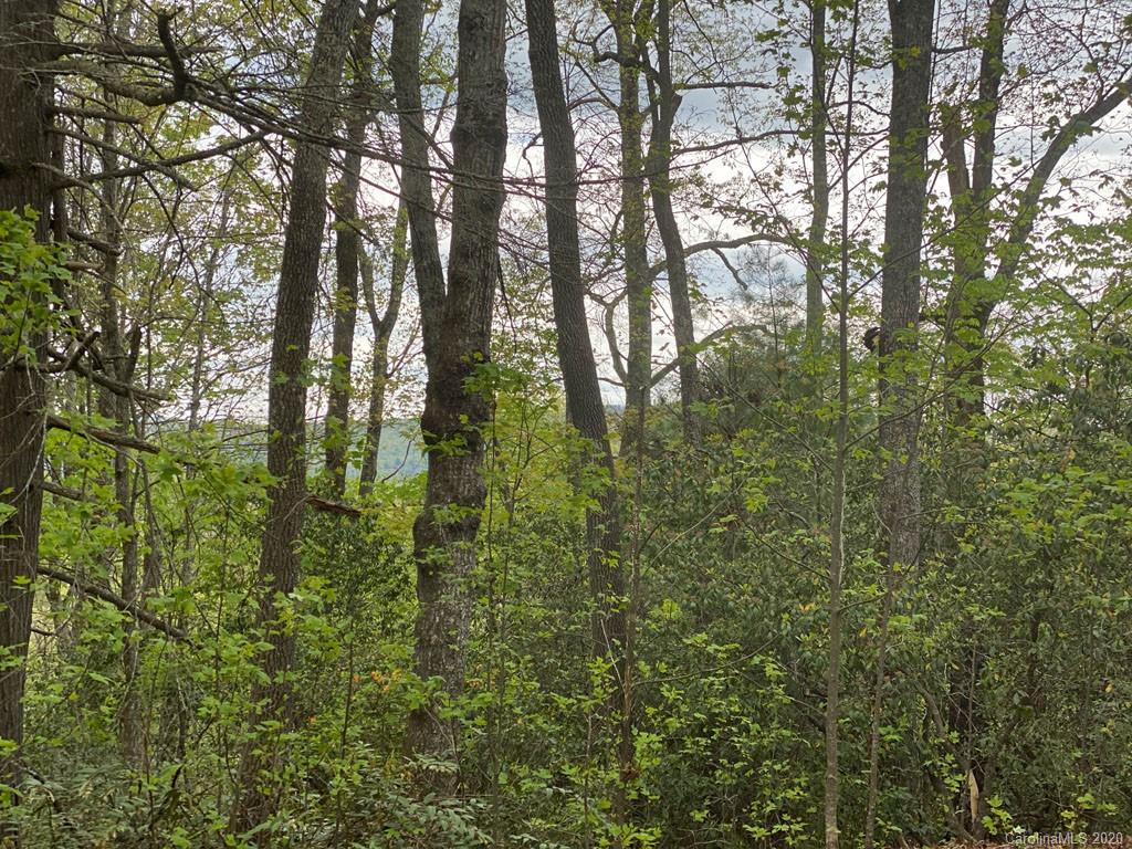 999 Stillhouse Road Brevard, NC 28712 - Photo 1 of 10 Gallery Image 1
