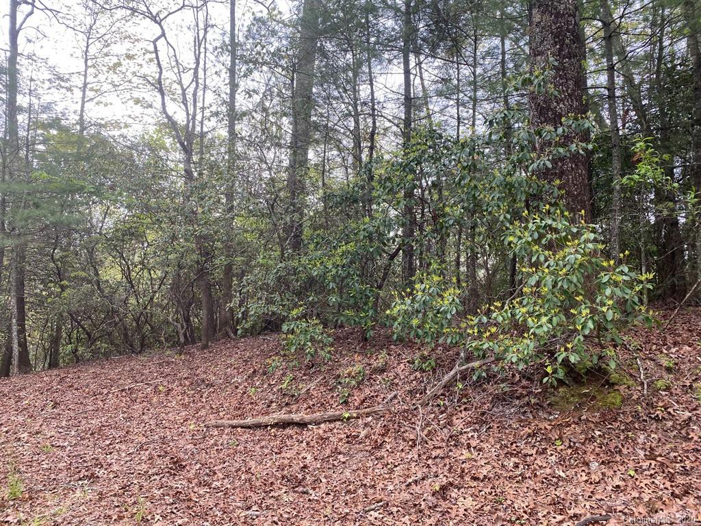 999 Stillhouse Road Brevard, NC 28712 - Photo 2 of 10 Gallery Image 2