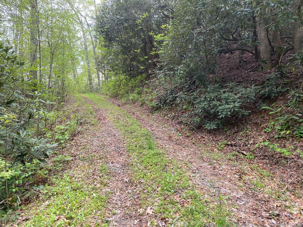 999 Stillhouse Road Brevard, NC 28712 - Photo 3 of 10 Gallery Image 3