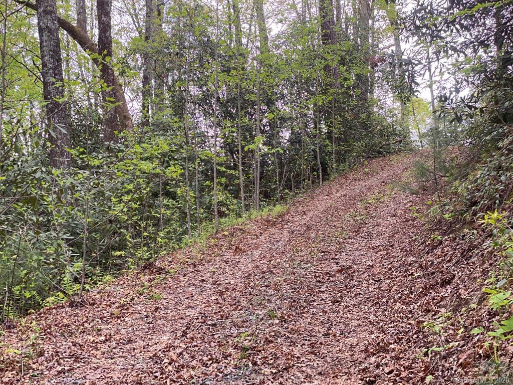 999 Stillhouse Road Brevard, NC 28712 - Photo 8 of 10 Gallery Image 8