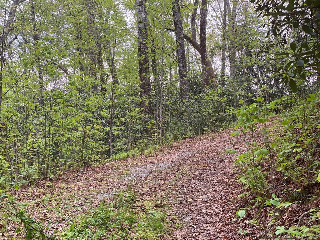 999 Stillhouse Road Brevard, NC 28712 - Photo 9 of 10 Gallery Image 9