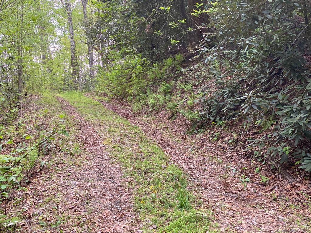 999 Stillhouse Road Brevard, NC 28712 - Photo 10 of 10 Gallery Image 10