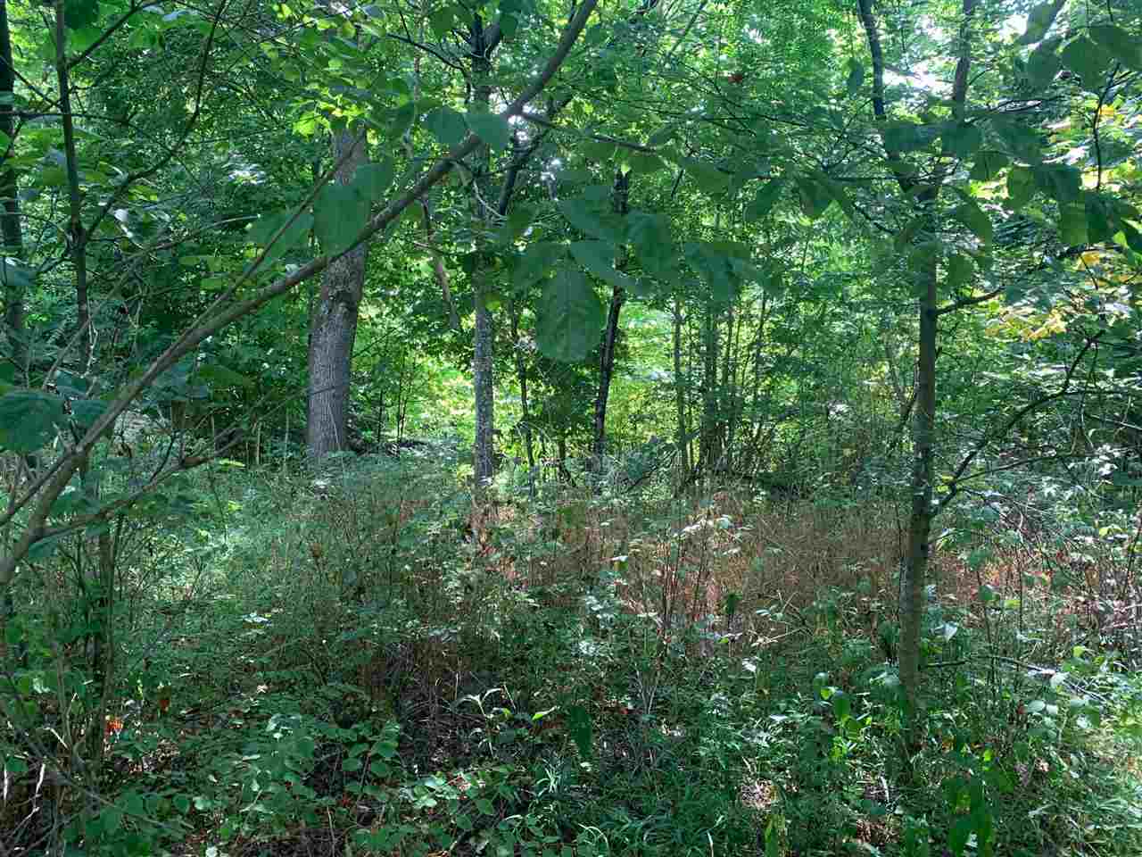 Ac Defries Road Canmer, KY 42722 - Photo 16 of 17 Gallery Image 16
