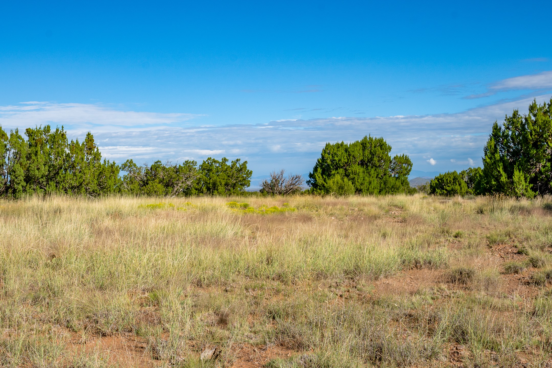 95 Grenfell Ranch Road Cerrillos, NM 87010 - Photo 9 of 47