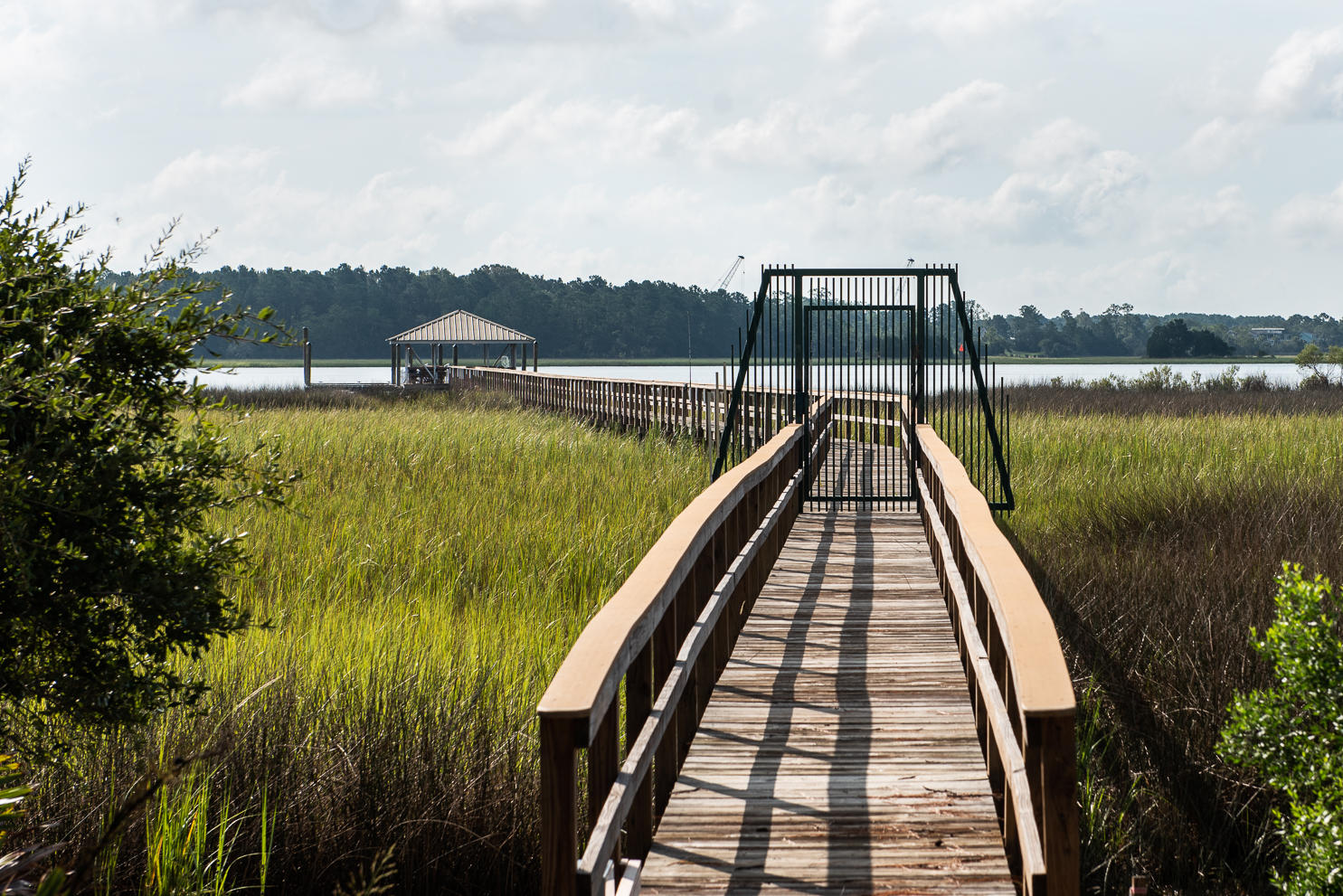 1215 Rivers Reach Drive Charleston, SC 29492 - Photo 32 of 33 1215RiverReach-71