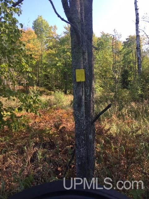 122 Rd Saxon V-wi Wi 54559 Road, Unit 10 ACS Ashland, WI 54806 - Photo 3 of 11