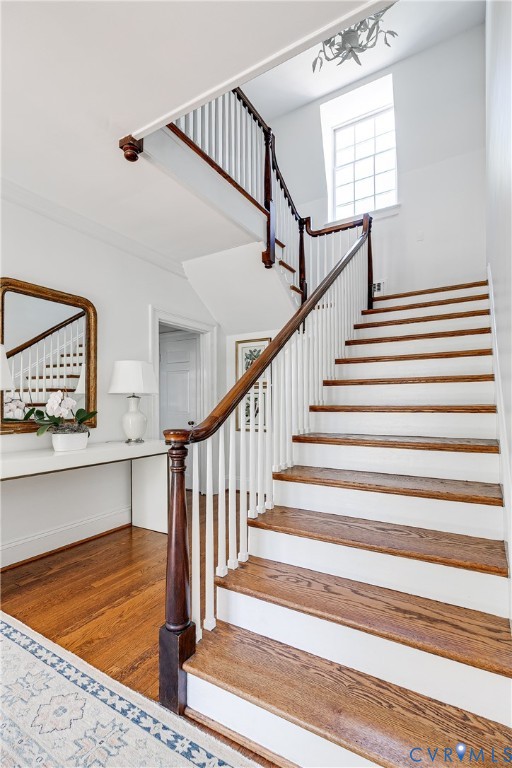 4306 Dover Road Richmond, VA 23221 - Photo 7 of 56