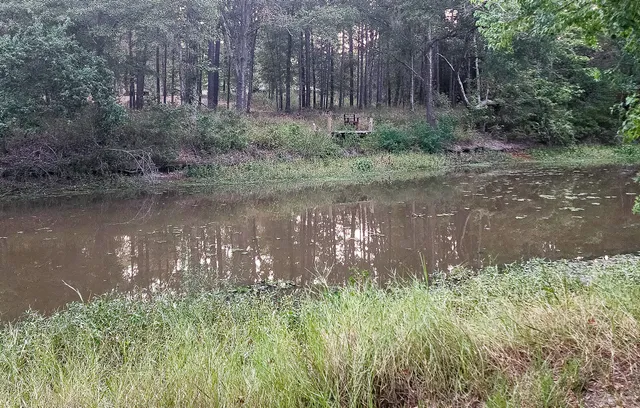 a view of a lake view