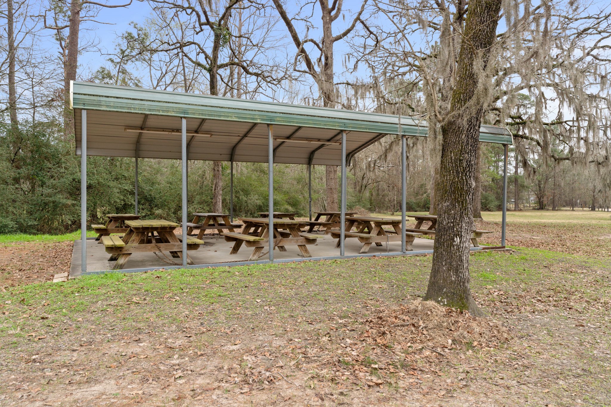 200 Laurel Road Onalaska, TX 77360 - Photo 4 of 5