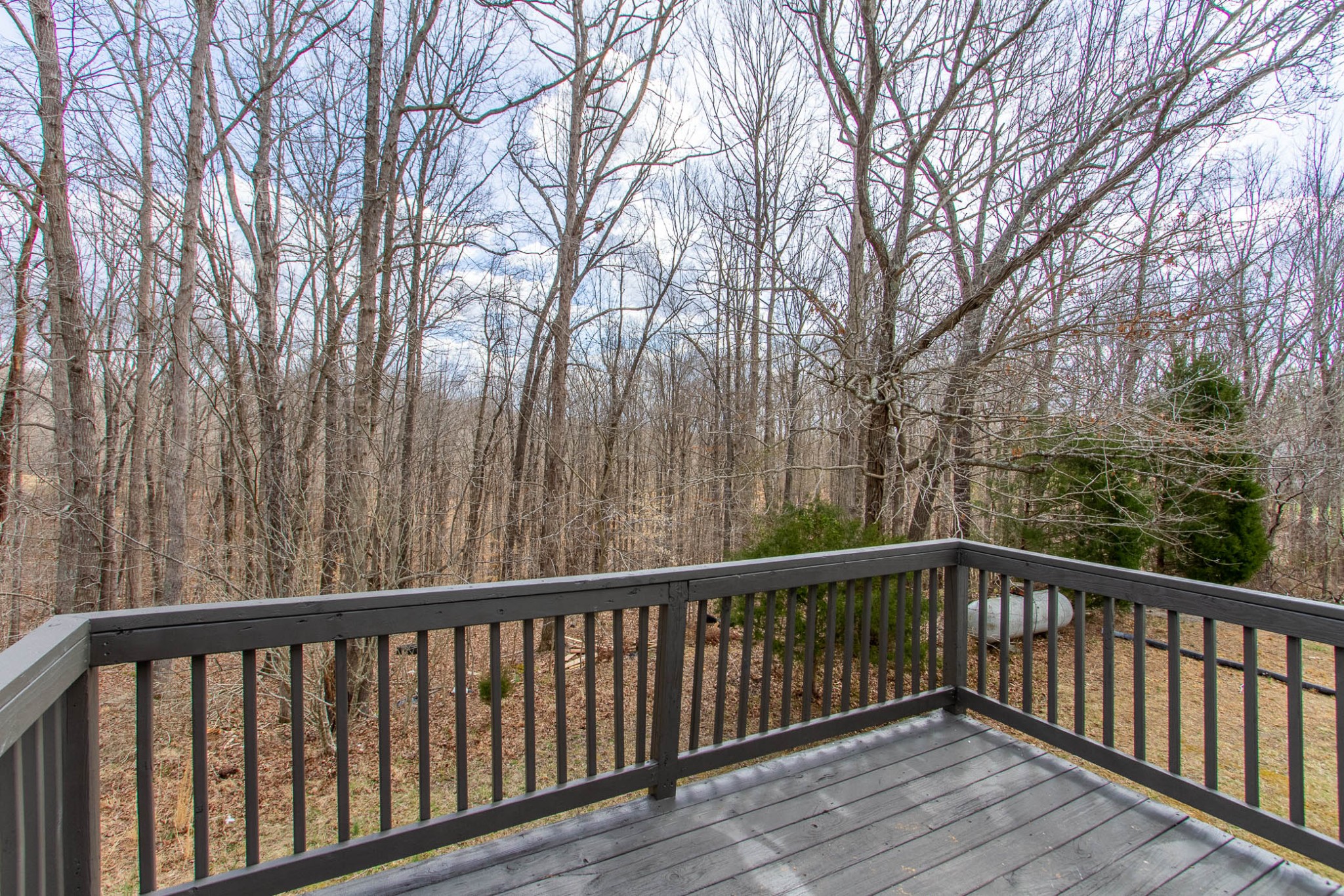 115 Pleasant View Ridge Road Indian Mound, TN 37079 - Photo 3 of 40 Gallery Image 3