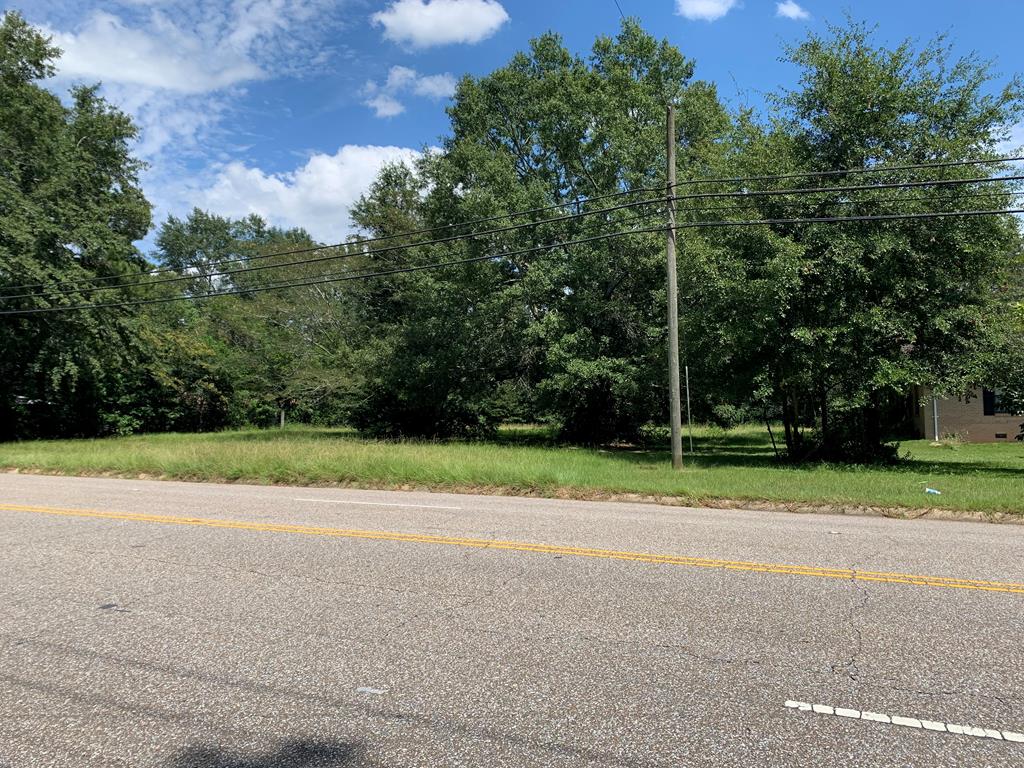 0 Denton Road Dothan, AL 36303 - Photo 1 of 4