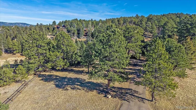 a view of a yard with trees