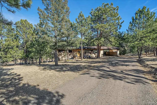 a view of a yard with a street