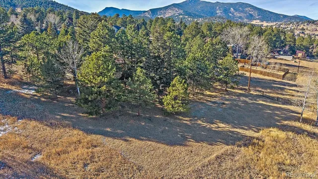 $995,000 | 29793 Paint Brush Drive, Evergreen, CO 80439