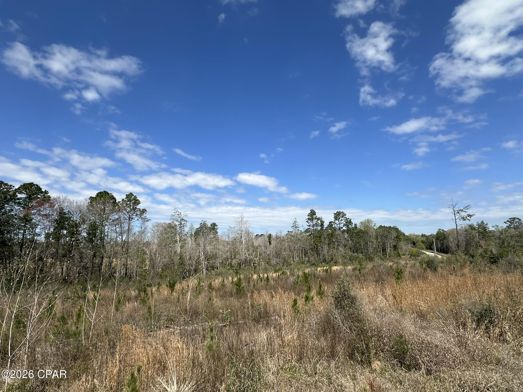 Tract#6409 Tract Road Caryville, FL 32427 - Photo 11 of 12