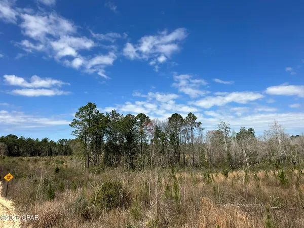 $117,900 | Tract#6409 Tract Road, Caryville, FL 32427
