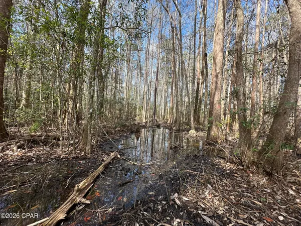 $117,900 | Tract#6409 Tract Road, Caryville, FL 32427