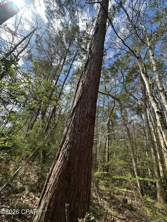 $117,900 | Tract#6409 Tract Road, Caryville, FL 32427