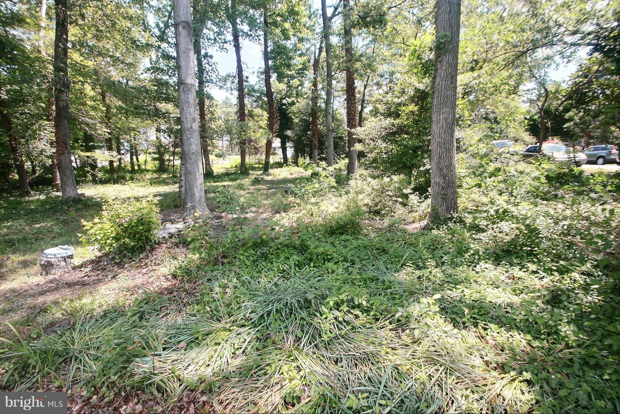 Adelphi Road Hyattsville, MD 20782 - Photo 3 of 7 View