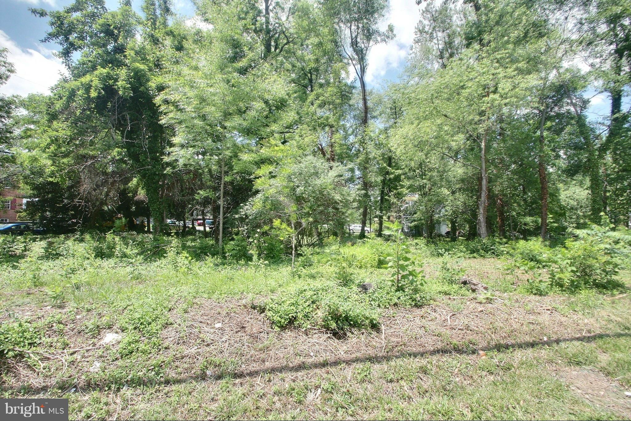 Adelphi Road Hyattsville, MD 20782 - Photo 4 of 7 View