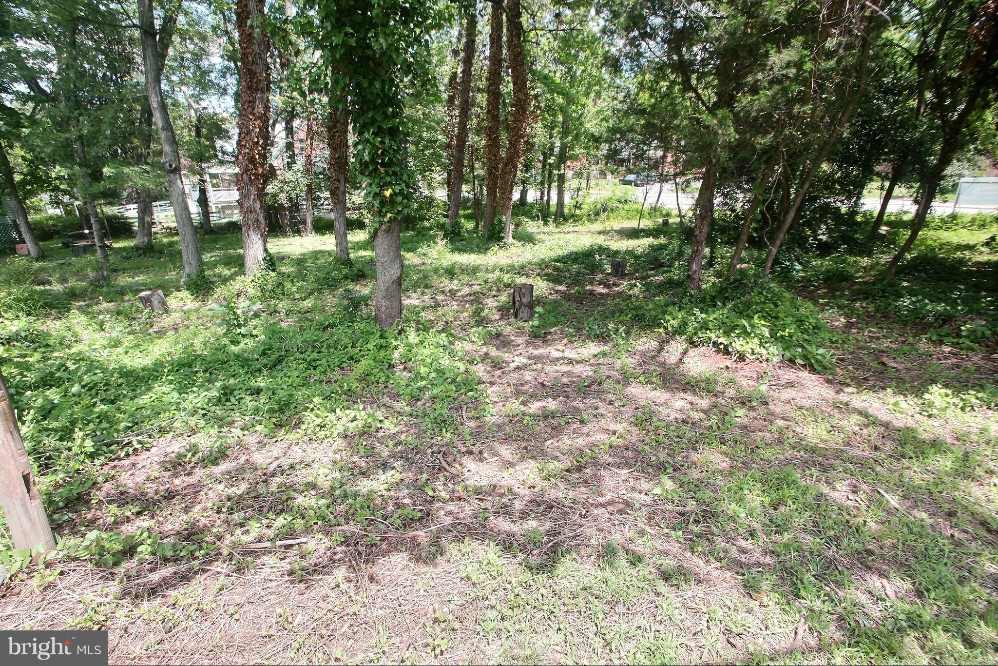 Adelphi Road Hyattsville, MD 20782 - Photo 5 of 7 View