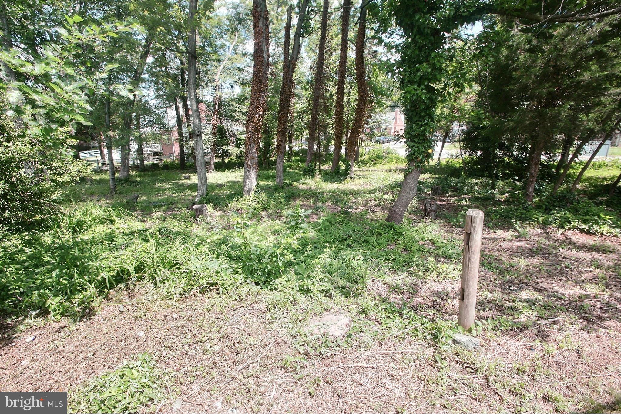 Adelphi Road Hyattsville, MD 20782 - Photo 6 of 7 View