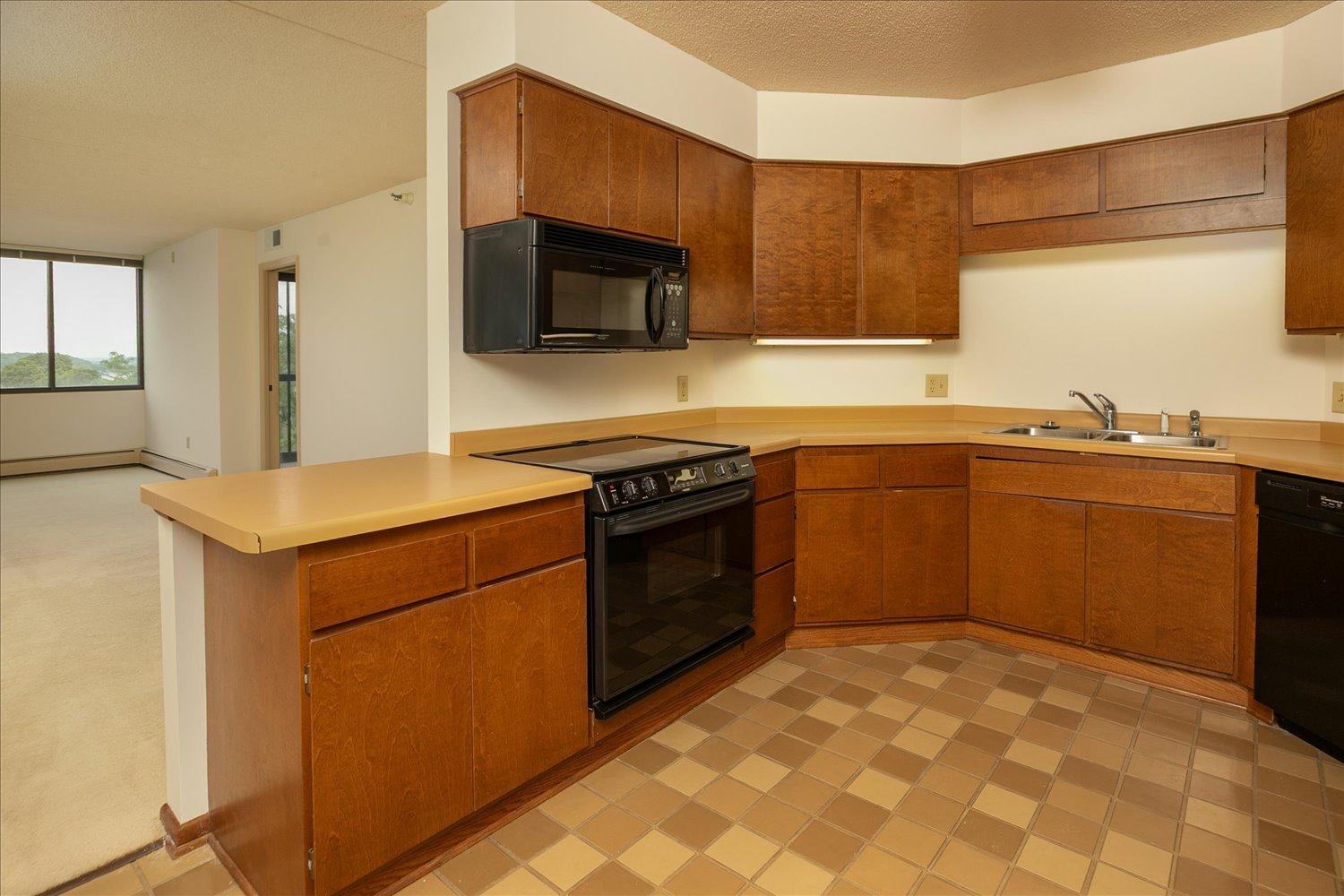 600 4th Street Southwest, Unit 605 Rochester, MN 55902 - Photo 12 of 37