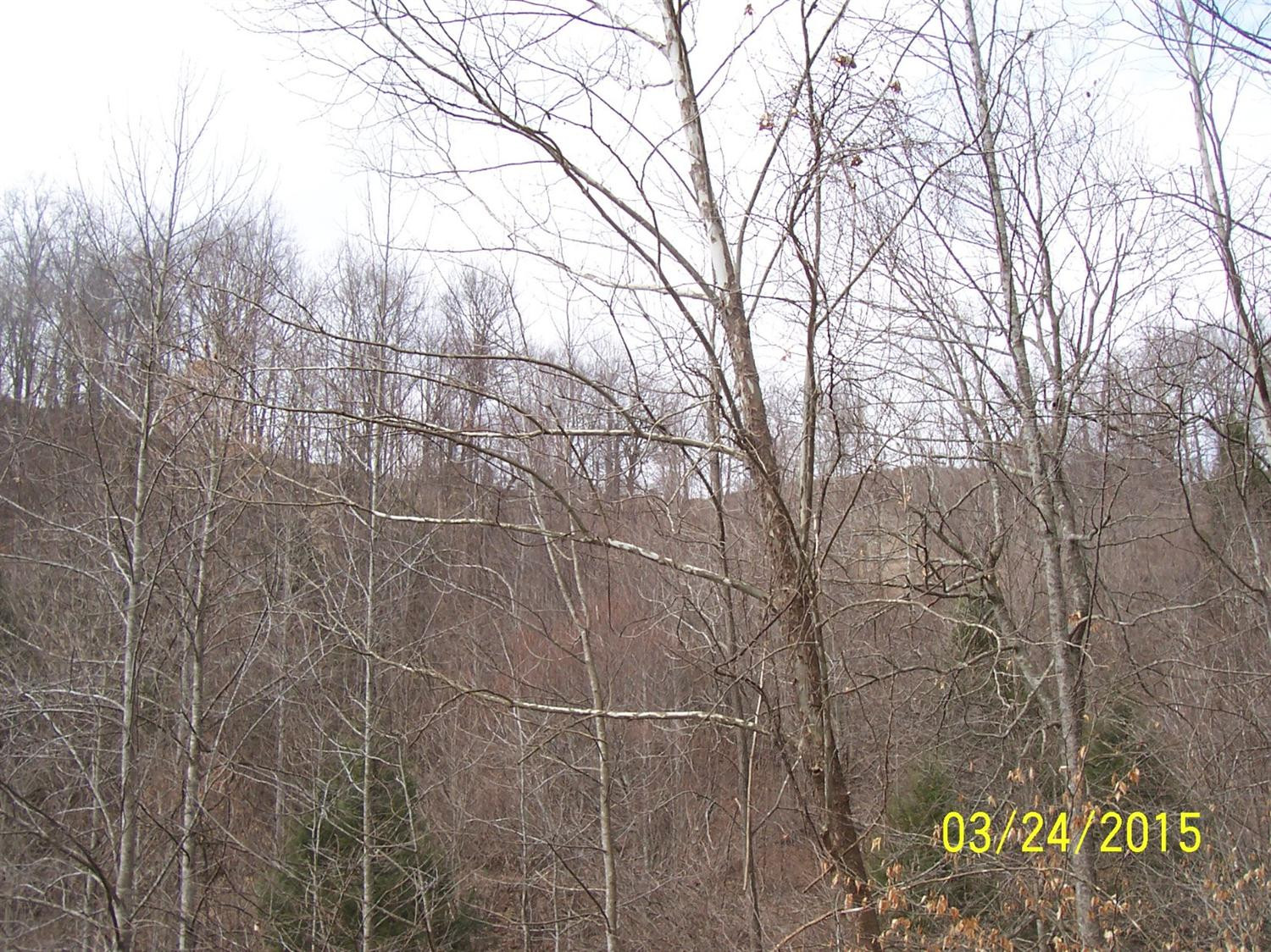 1 York Road McKee, KY 40447 - Photo 38 of 76 Photo 38