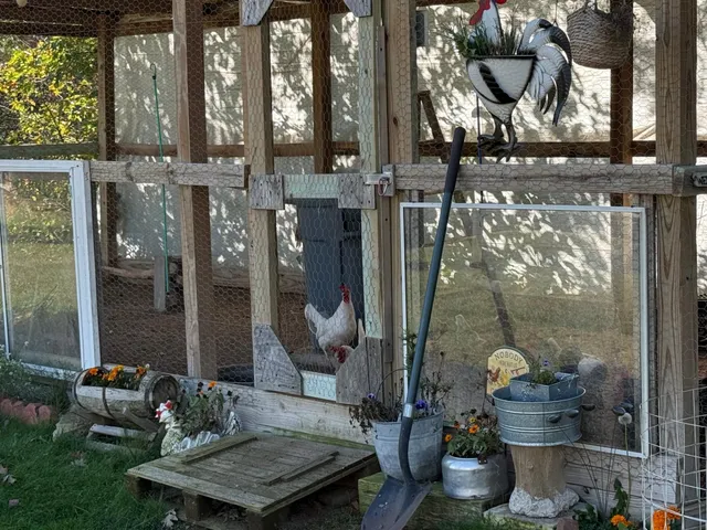 $380,000 | 2858 Miller Road Southwest, Bemidji, MN 56601