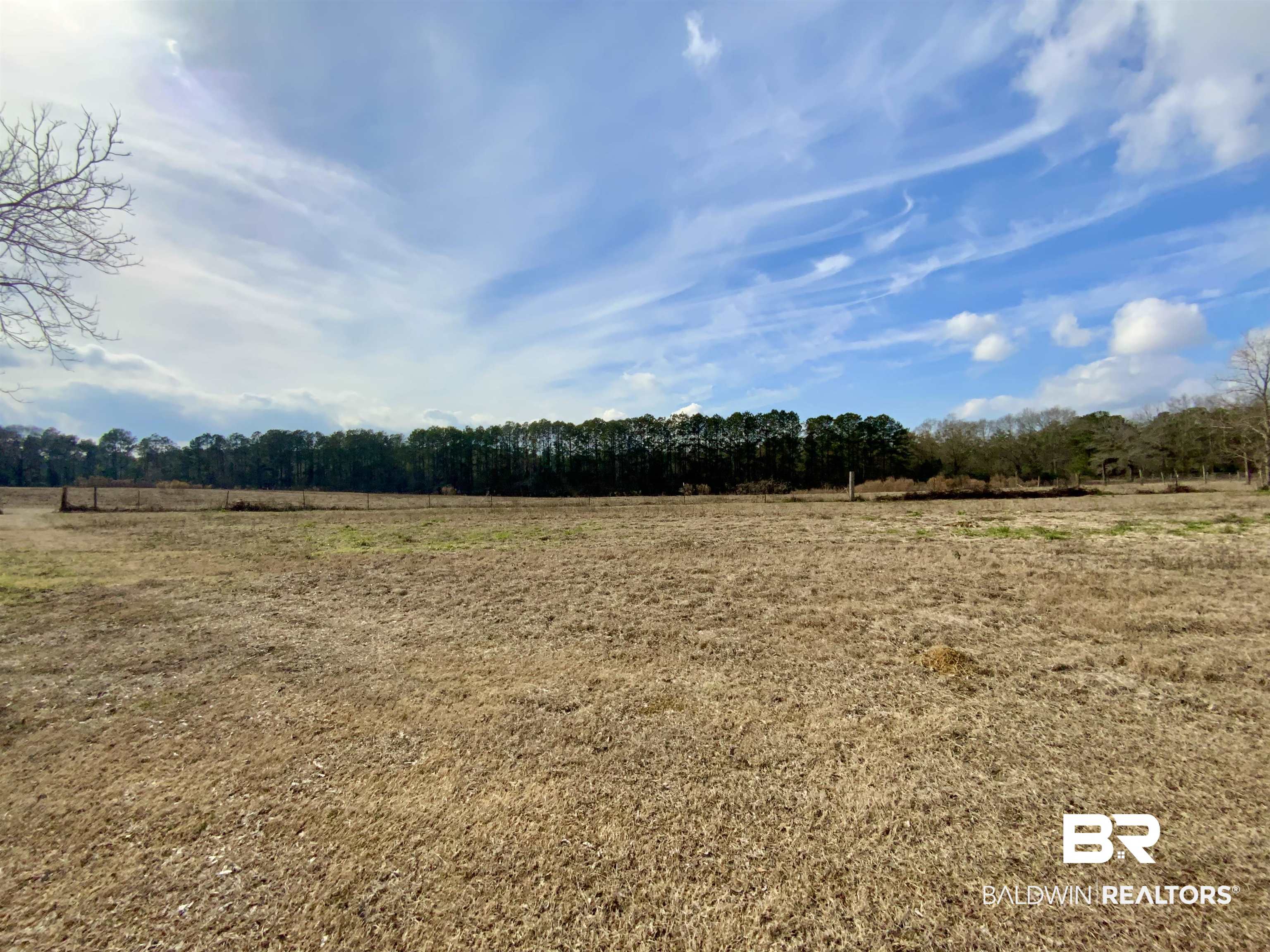 19800 Hoyle Bryars Road Perdido, AL 36562 - Photo 2 of 28 Gallery Image 2